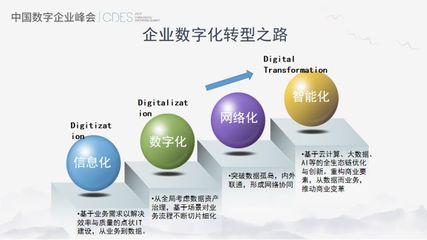 从信息化到数字化 阿里巴巴副总裁胡臣杰解读企业网络技术服务的演进